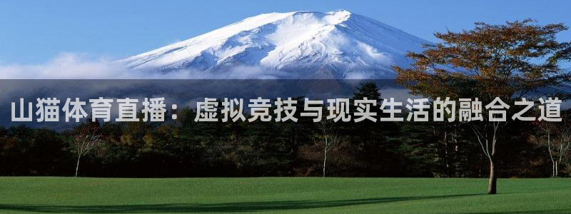 赏金国际pg正版官网版下载安装