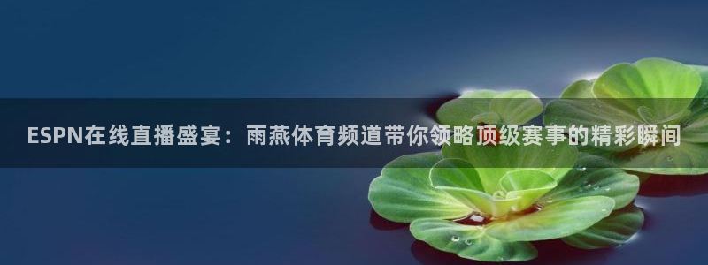 千行赏金app