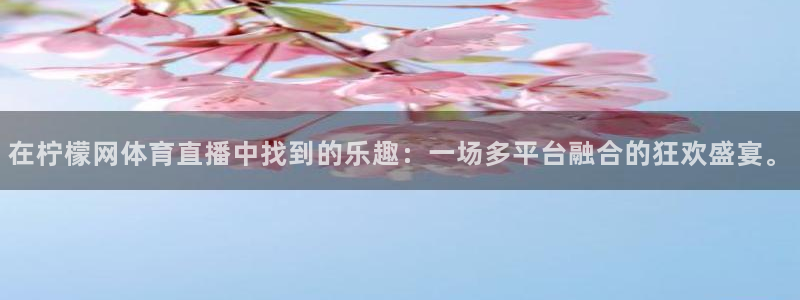 赏金国际pg下载链接