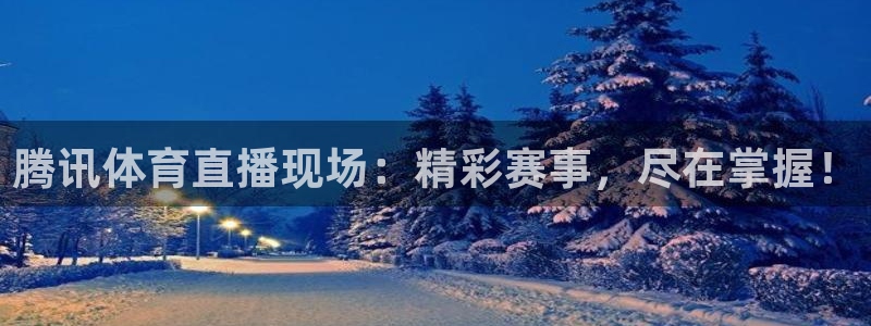 赏金国际下载入口