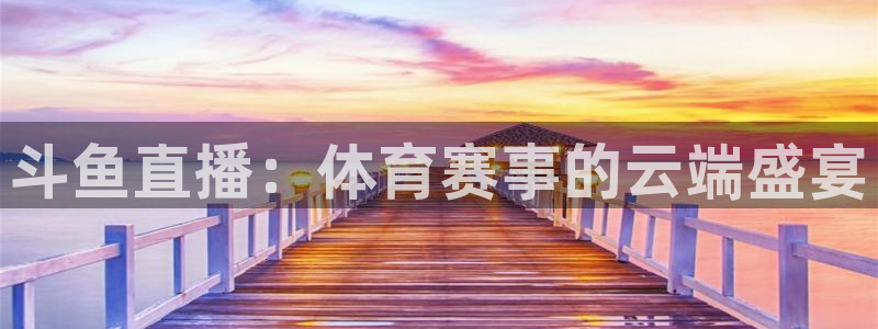 赏金国际下载入口
