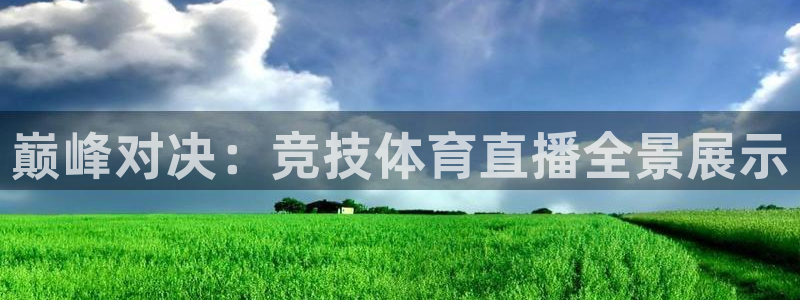 赏金国际pg正版官网入口下载