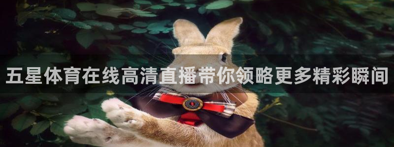赏金国际链接网址