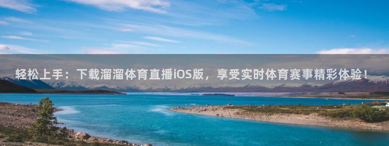 赏金国际h5入口