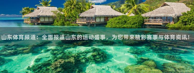 赏金国际pg正版官网入口下载