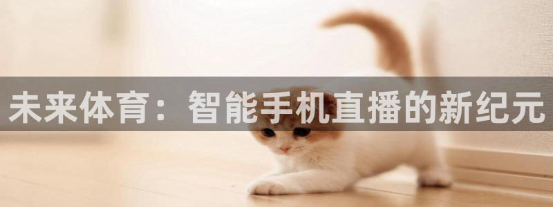 赏金国际下载