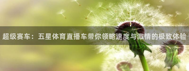 赏金帮app下载