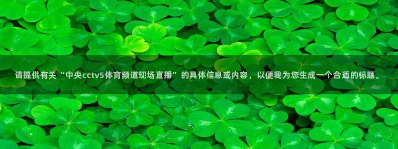 赏金国际