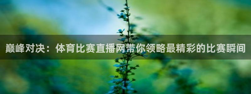 赏金国际app下载安装