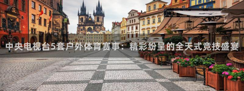 赏金国际代理