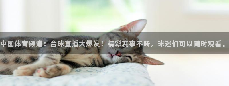 赏金国际台子