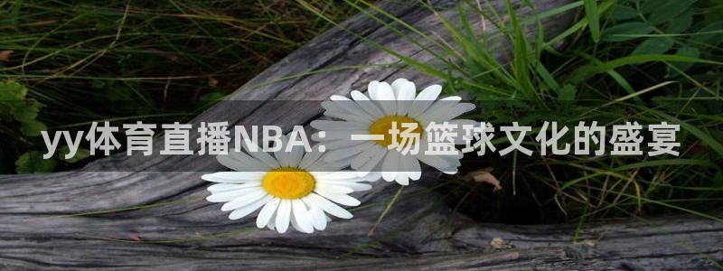 赏金国际链接：yy体育直播NBA：一场篮球文化的盛宴