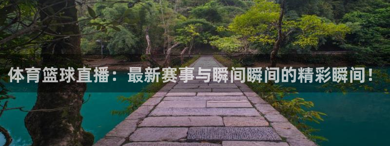 赏金国际是什么：体育篮球直播：最新赛事与瞬间瞬间的精彩瞬间！