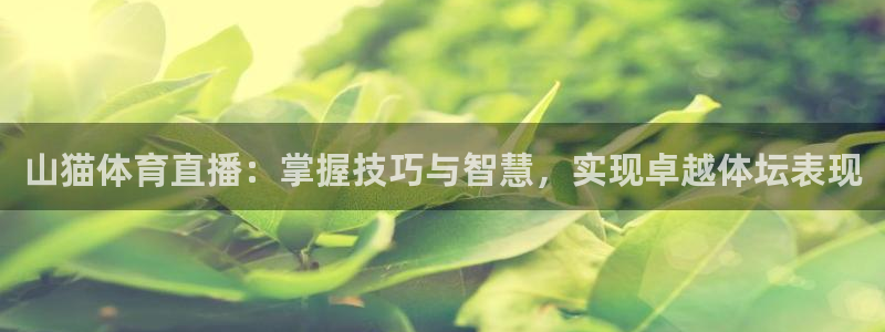 赏金国际链接网址：山猫体育直播：掌握技巧与智慧，实现卓越体坛表现