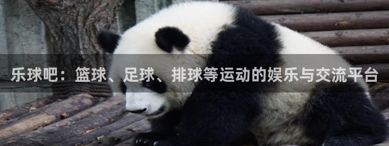 赏金游app官网：乐球吧：篮球、足球、排球等运动的娱乐与交流平台