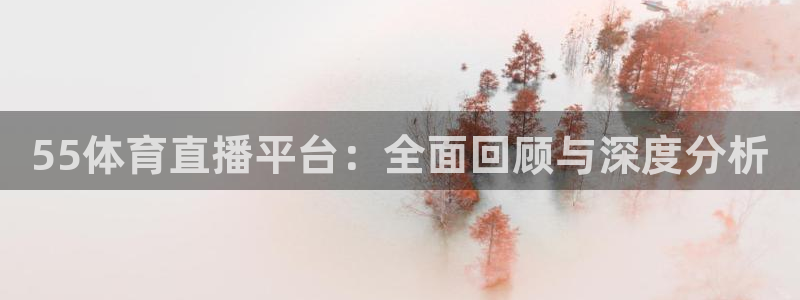 赏金国际pg：55体育直播平台：全面回顾与深度分析