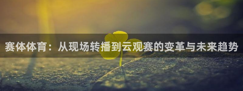 赏金游官方网站入口：赛体体育：从现场转播到云观赛的变革与未来趋势