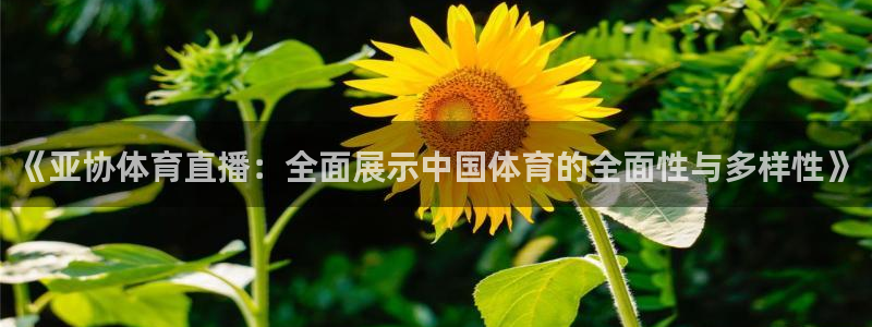 赏金app：《亚协体育直播：全面展示中国体育的全面性与多样性》