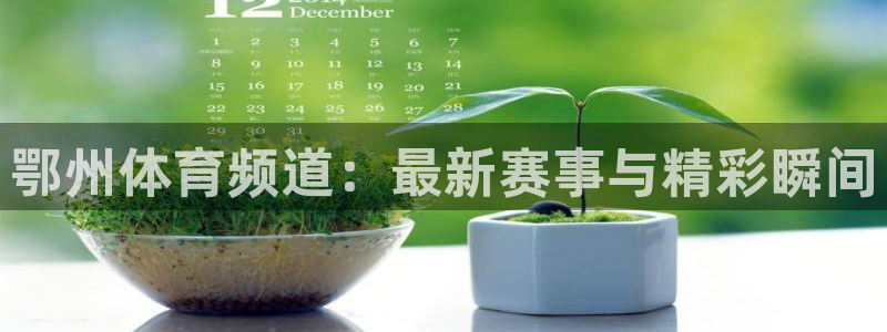 问鼎国际赏金女王pg官网入口下载：鄂州体育频道：最新赛事与精彩瞬间