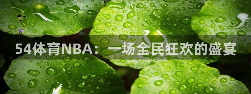 赏金国际电娱乐：54体育NBA：一场全民狂欢的盛宴