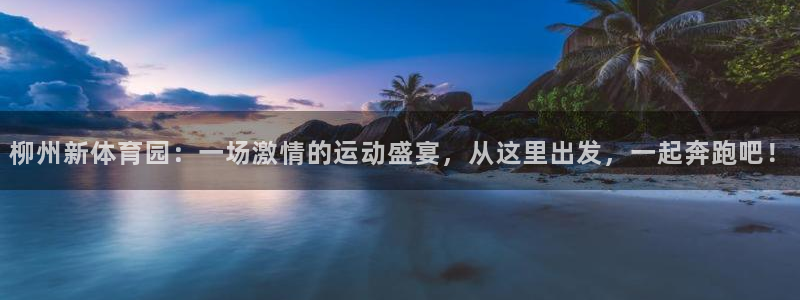 赏金游官方网站入口：柳州新体育园：一场激情的运动盛宴，从这里出发，一起奔跑吧！