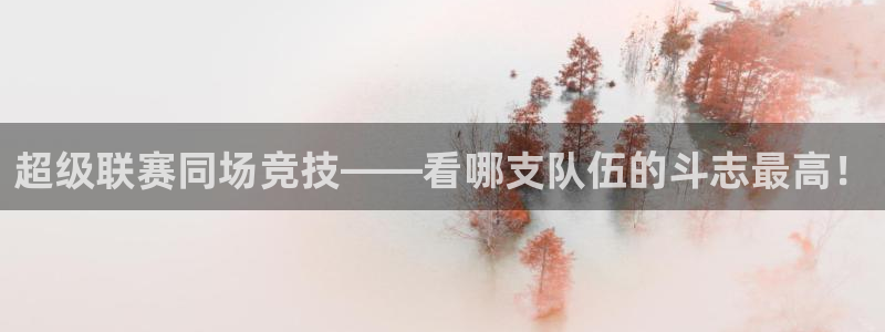 赏金国际下载链接：超级联赛同场竞技——看哪支队伍的斗志最高！