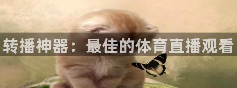 赏金国际app：转播神器：最佳的体育直播观看
