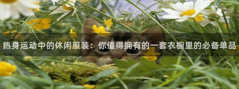 赏金国际是什么：热身运动中的休闲服装：你值得拥有的一套衣橱里的必备单品
