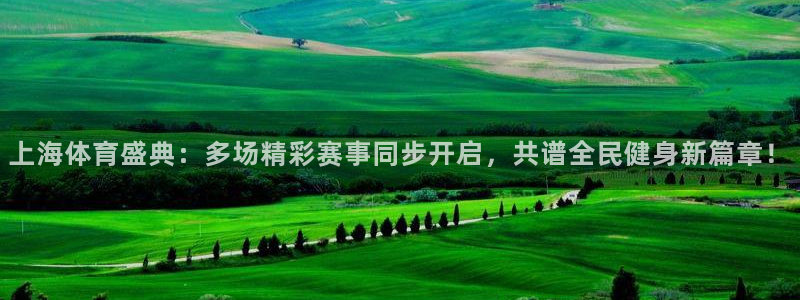 赏金国际网站：上海体育盛典：多场精彩赛事同步开启，共谱全民健身新篇章！