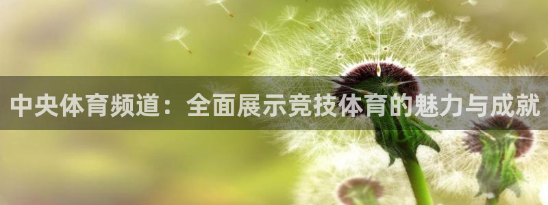 赏金国际pg下载链接：中央体育频道：全面展示竞技体育的魅力与成就