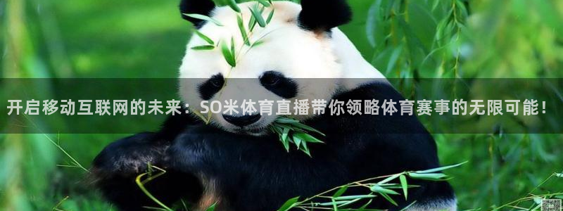 赏金游app官网：开启移动互联网的未来：SO米体育直播带你领略体育赛事的无限可能！